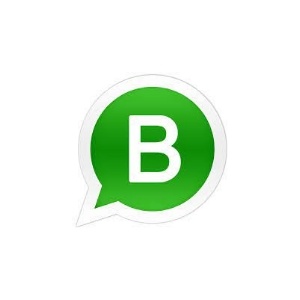 whatsapp business logo